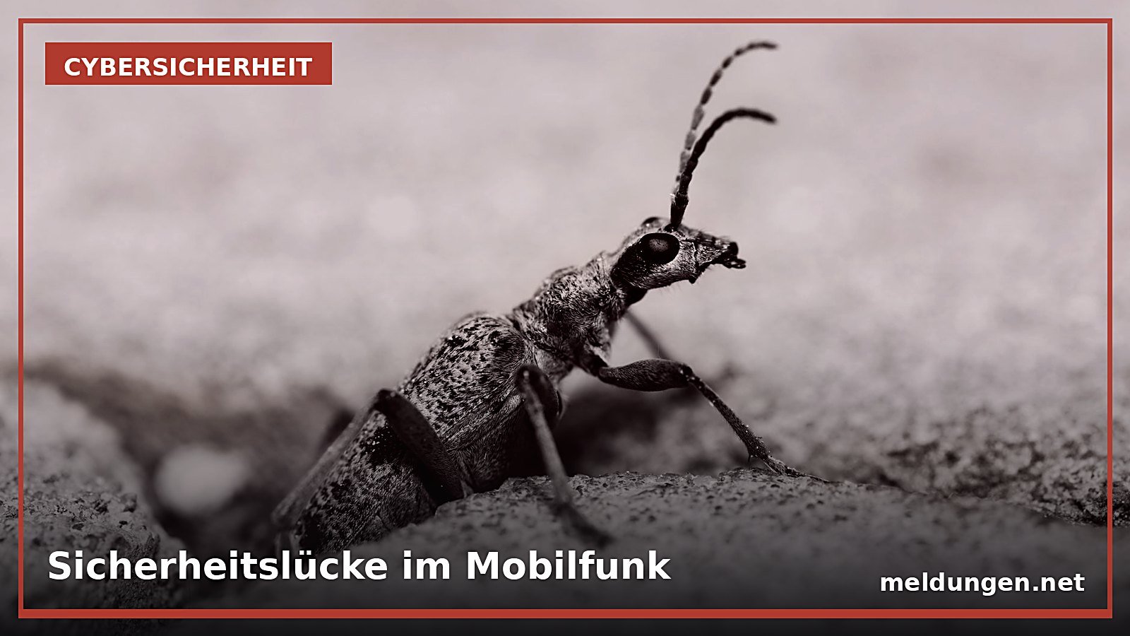 Mobilfunknetze in Deutschland: BR deckt Sicherheitslücke bei Signalisierungsprotokollen auf