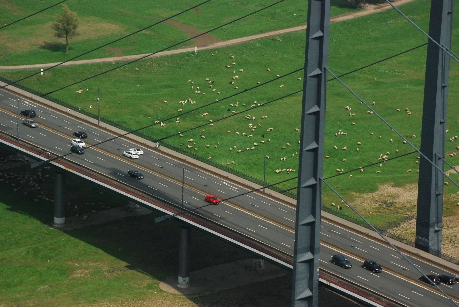 Verkehrsunfälle NRW 2026: Zahlen und Fakten
